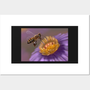 Honey Bee Posters and Art